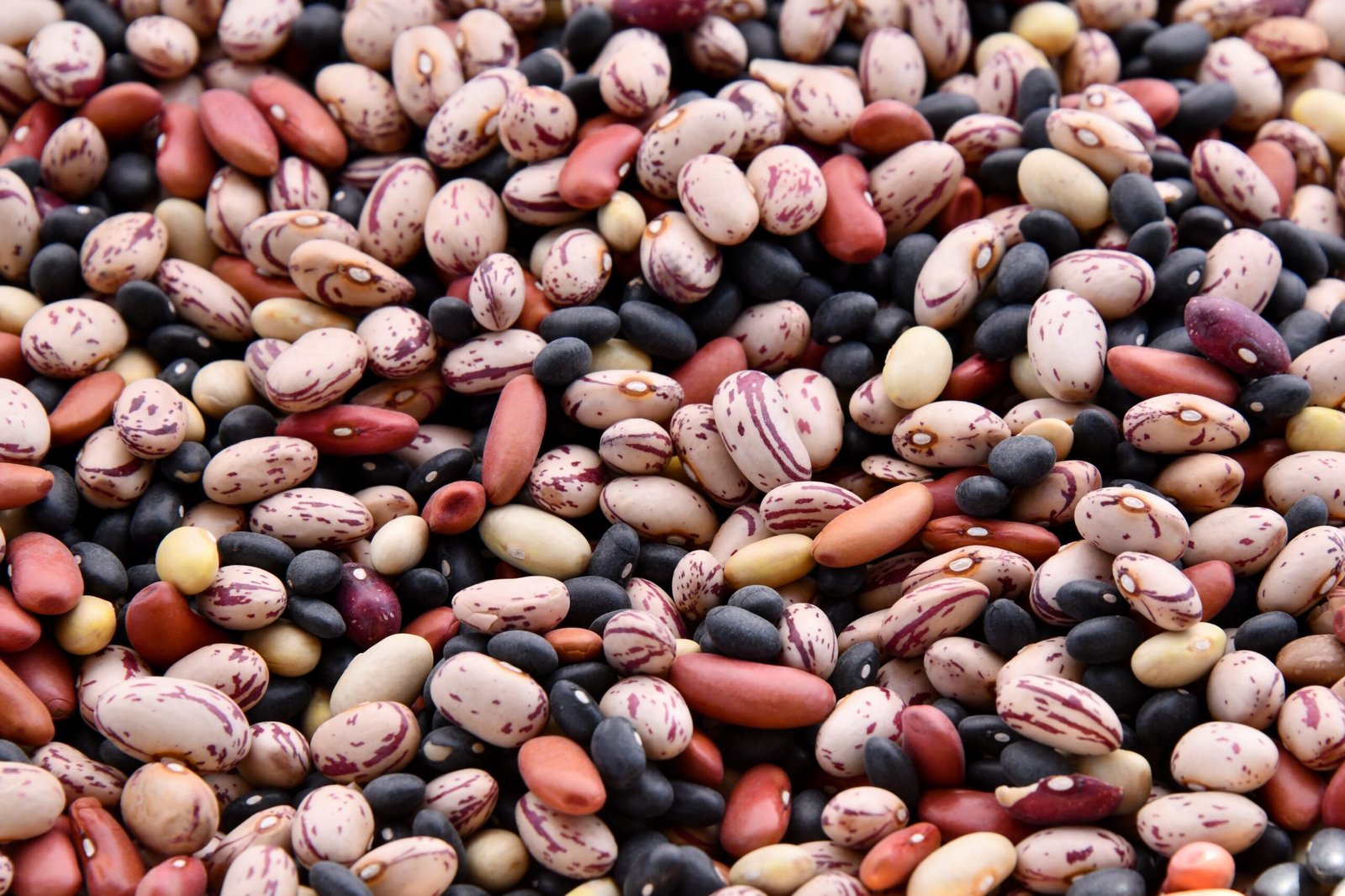 The 7 Healthiest Beans to Eat